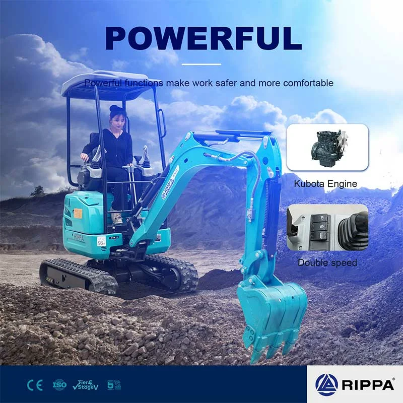 RIPPA R322L Mini Excavator Review: The 1.8-Ton Machine with Boom Cylinder Protection